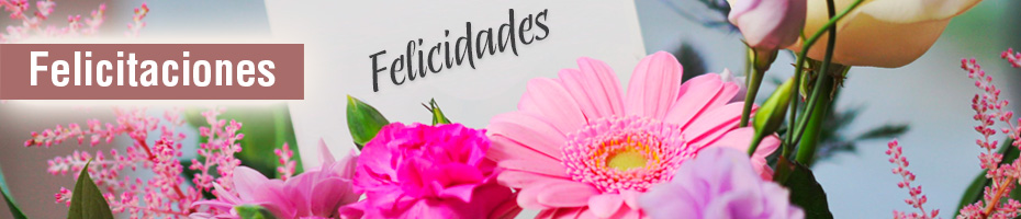 Felicitaciones Felicitaciones