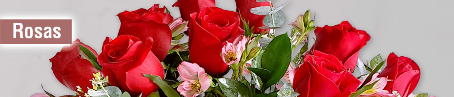Rosas