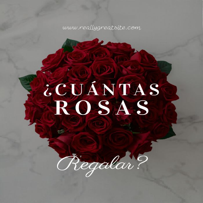 ¿Cuántas rosas regalar? Guía completa por edad, relación y ocasión 2026