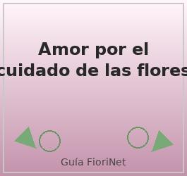 Amor por el cuidado de las flores